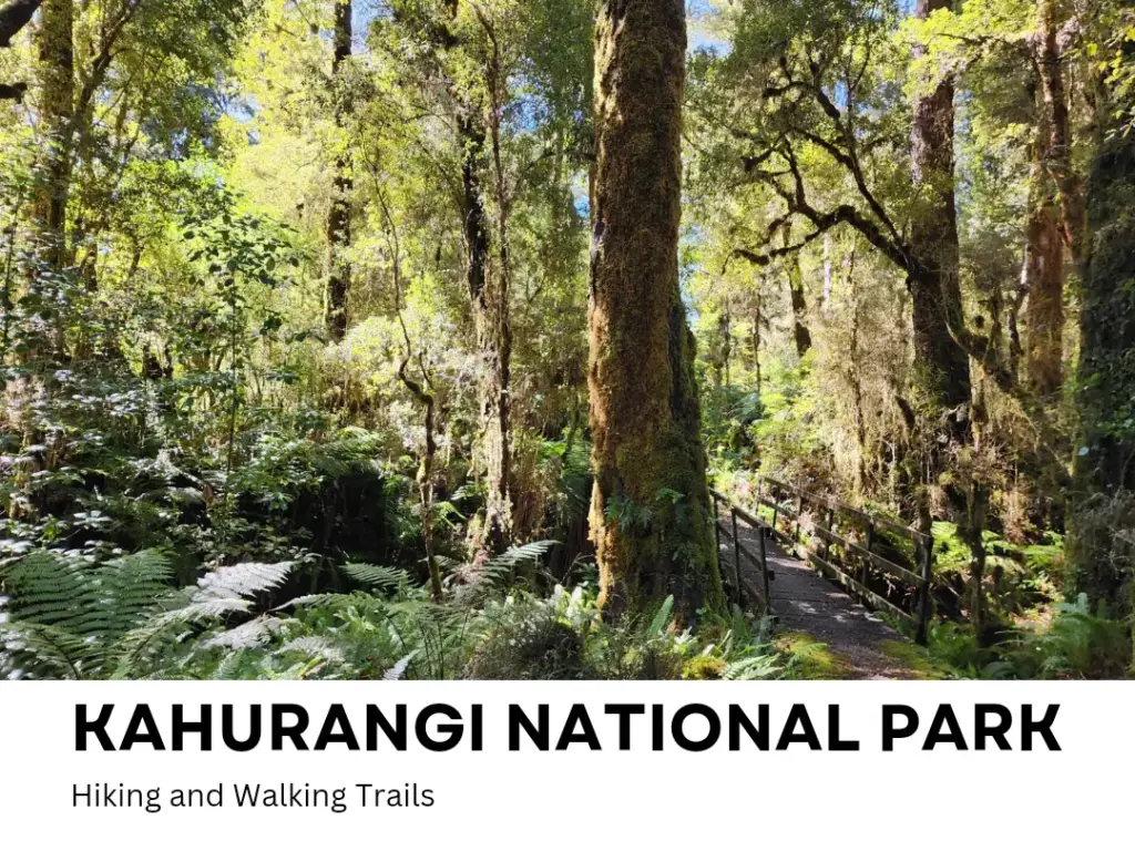 Kahurangi national park, Karamea, Best stops on the West Coast Road Trip
