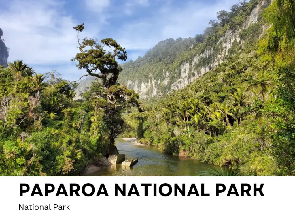 paparoa national park Punakaiki West coast road trip